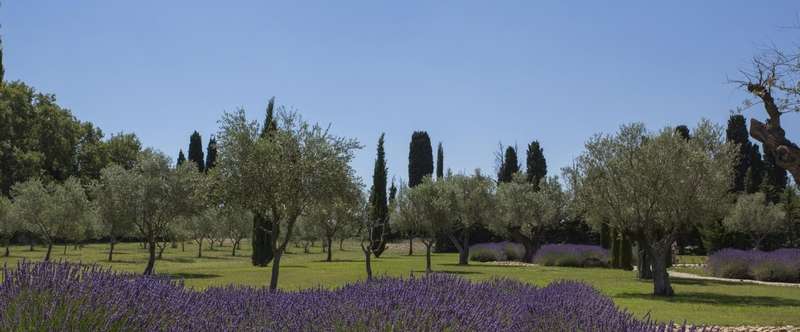 The Mas Grey luxury Provence rental boasts beautifully-landscaped grounds